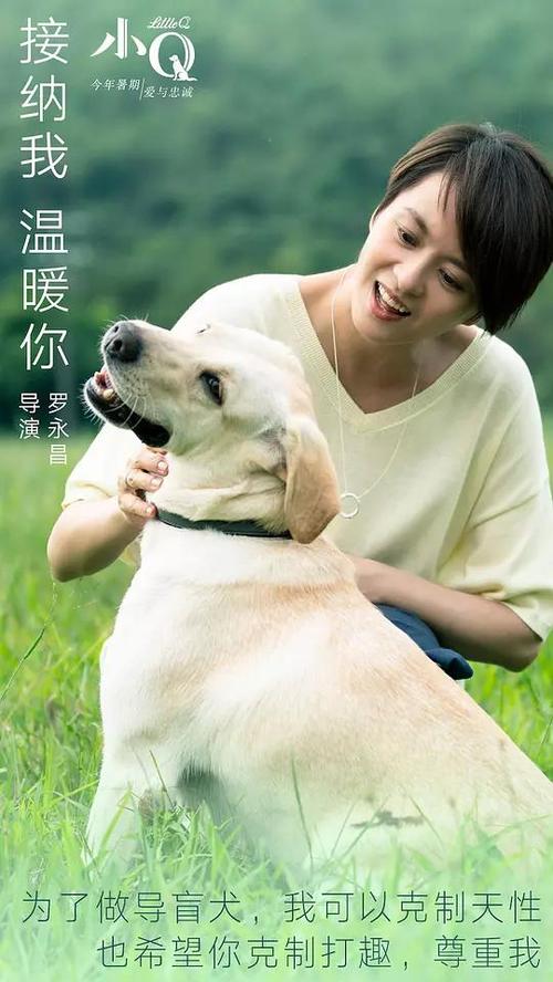 什么是学位证明